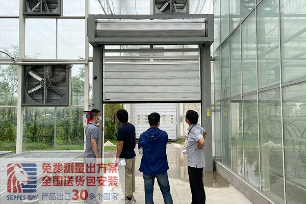智能化溫室硬質快速卷簾門 智能化溫室硬質快速卷簾門